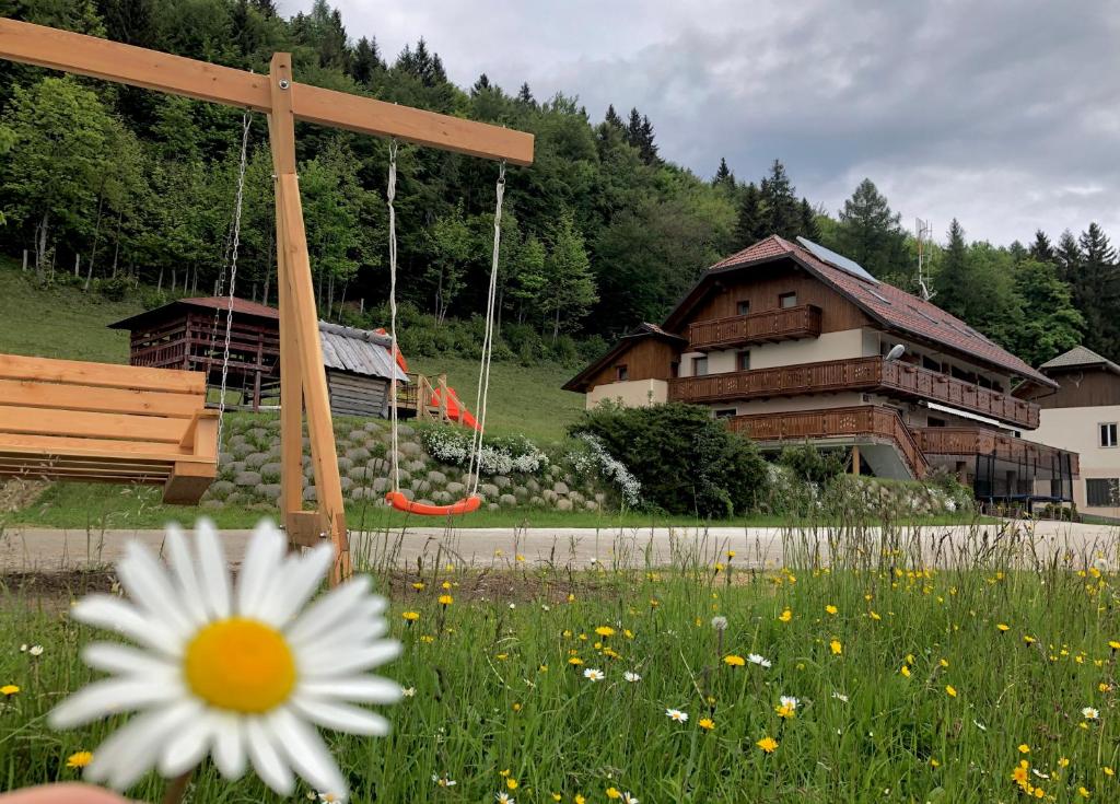 a flower in a field with a swing at Guest house Pr Ambružarju & Apartments in Cerklje na Gorenjskem