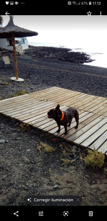 Laurainu check in de 15 a 22 hora - 5