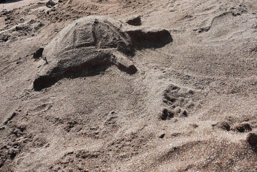 Laurainu check in de 15 a 22 hora - 9