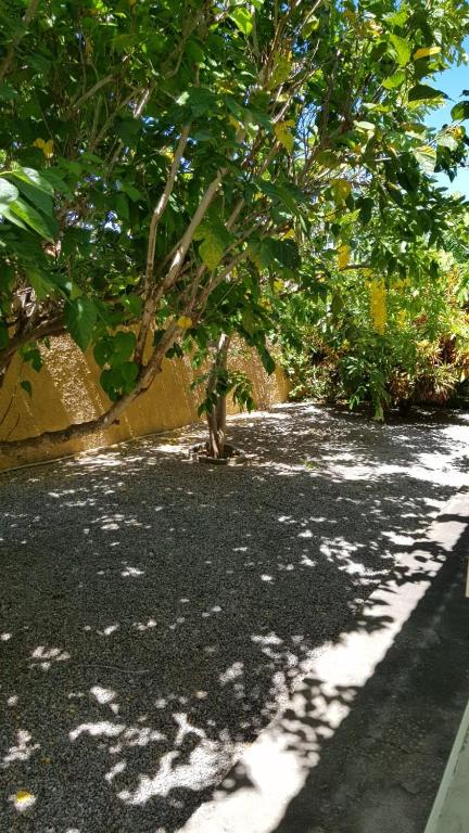  casa de praia temporada Figueira