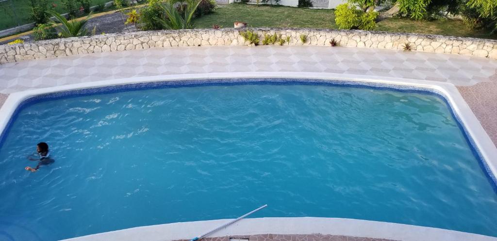 Bazén v ubytování Chaudhry Holiday House Montego Bay nebo v jeho okolí