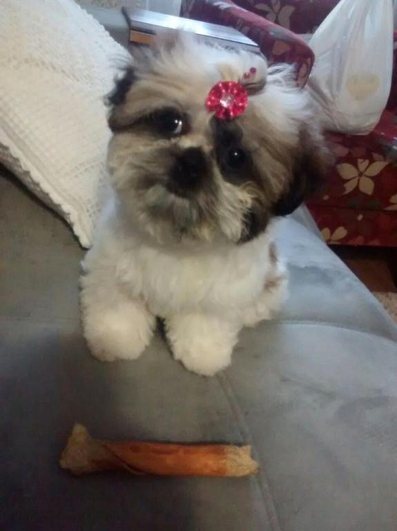  Ap 01 Dormitório - Balneário Camboriú - 04 pessoas - Ar-condicionado - Garagem privativa no prédio - A uma quadra da Roda Gigante BIG WHEEL Pé na areia - Wi-Fi free 100 Mega - Telecines - HBO - Top 10