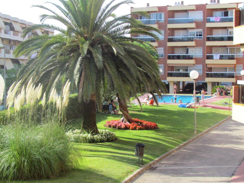 a palm tree in a park next to a building at Apartamentos Alquihouse Vilafortuny in Cambrils