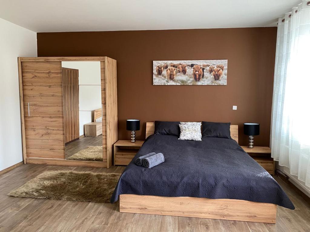 Un dormitorio con una cama grande y un espejo grande. en Černý Tulipán - Apartmán 3, en Plzeň