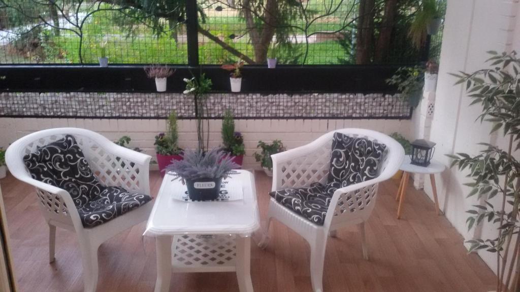2 weiße Stühle, ein Tisch und ein Fenster in der Unterkunft Dandelo in Novi Sad