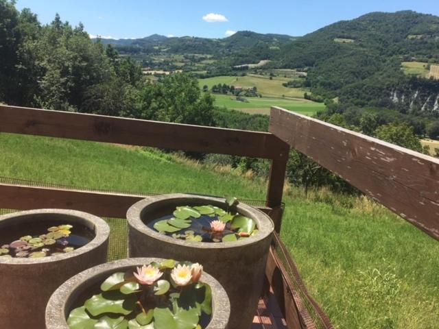 Casa Petra - Casa Tre Stelle - Casa Caneva - Ferien für 6-14 Personen - Casa De Siete Dormitorios