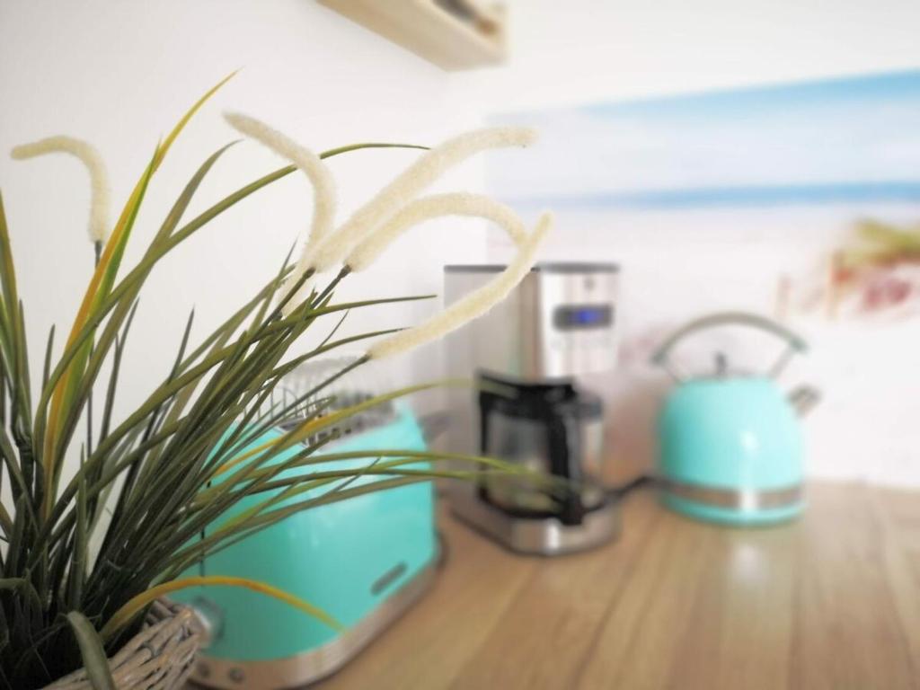 a plant sitting on a counter next to a coffee maker at Küstenkind in Timmendorfer Strand