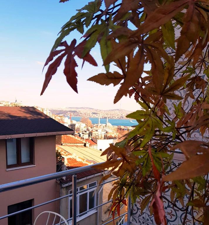 Ali Pasha Apartment