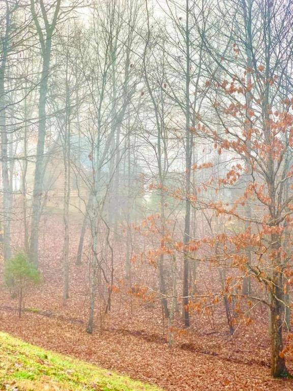 Bluegreen Vacations Shenandoah Crossing, Ascend Resort Collection - 