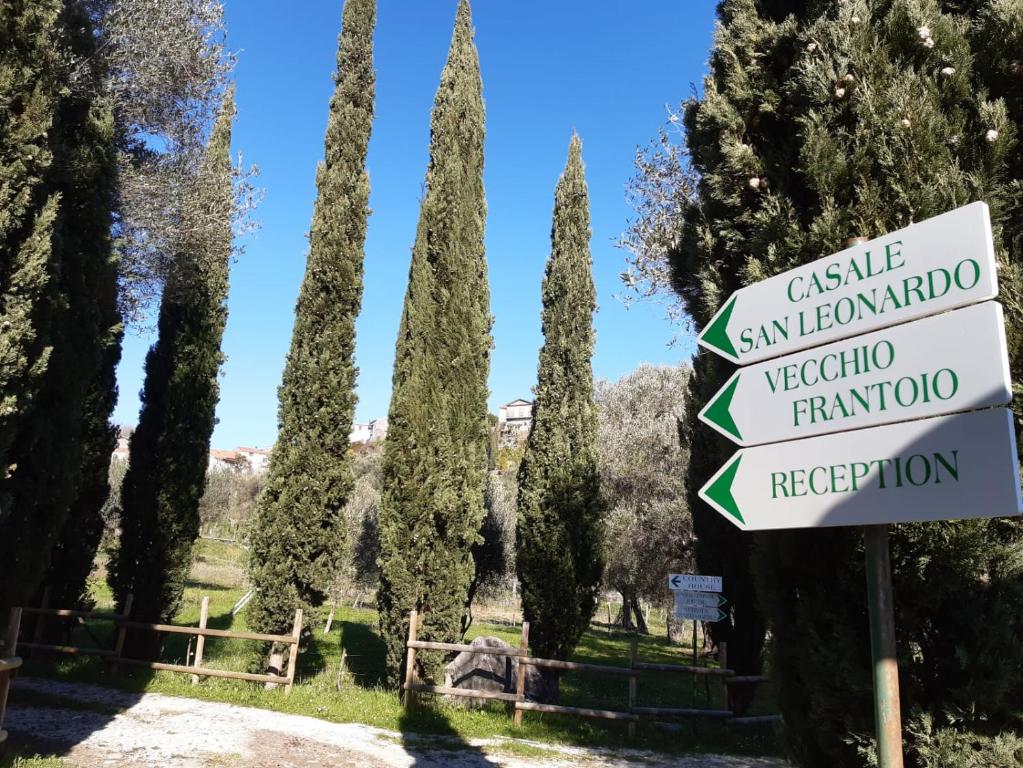 Príroda v okolí of the country house
