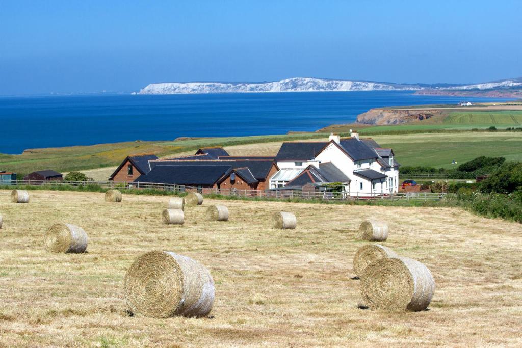 a field full of hay bales in front of a house at Chale Bay Farm in Ventnor