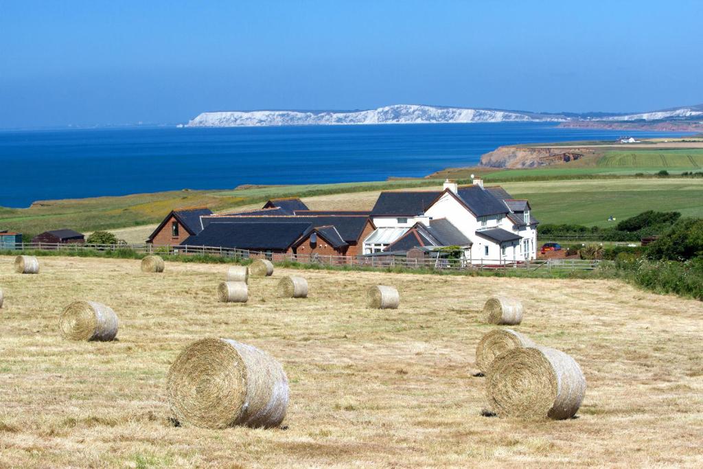 Chale Bay Farm - Housity