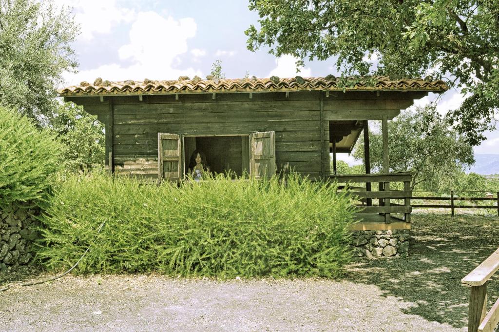 Przyroda w pobliżu tego gospodarstwa agroturystycznego
