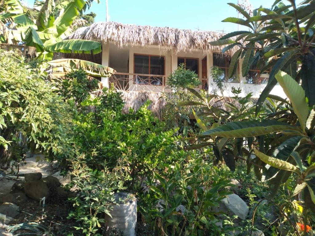 a house with a thatched roof in a garden at Casa AHAU in San Marcos La Laguna