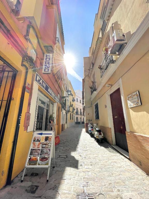 Remolars Sevilla - 5