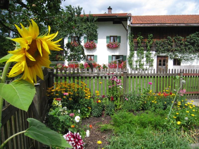 a fence with a flower garden in front of a house at Bablhof in Oberwössen