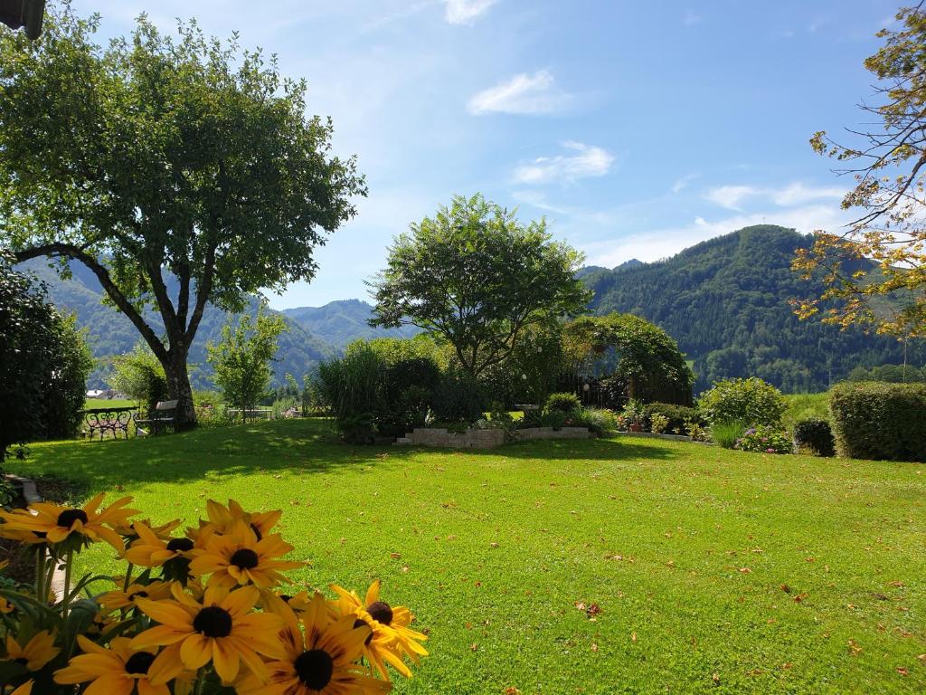 Paesaggio naturale nelle vicinanze dell'affittacamere