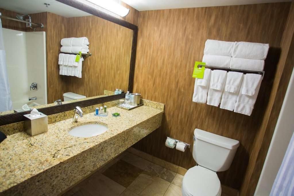 Wyndham Moline on John Deere Commons - Suite Superior King - No Fumadores