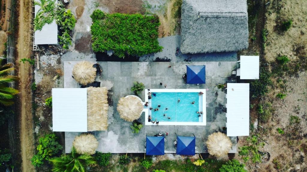 - une vue sur la piscine dans une cour arborée dans l'établissement Badaboom Hostal & Surf, à Aposentillo