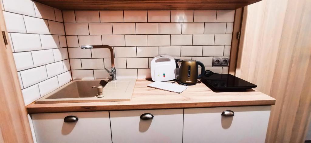 Kuchyň nebo kuchyňský kout v ubytování Willa Sowia Dolina - Apartamenty z aneksami i wyjsciem na ogrod