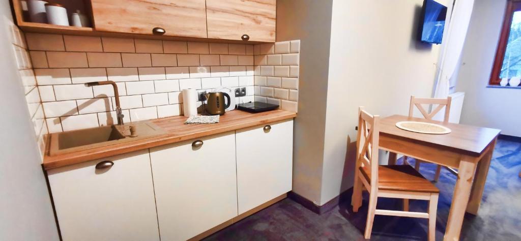 Kuchyň nebo kuchyňský kout v ubytování Willa Sowia Dolina - Apartamenty z aneksami i wyjsciem na ogrod