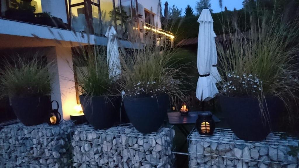 Zahrada ubytování K82 BNB & Hotel