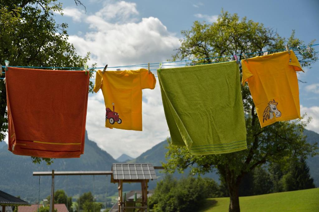 Reiterhof Suassbauer - 15