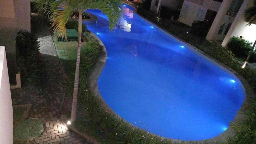 a large blue swimming pool at night with a palm tree at GUARAJUBA - Apartamento MÁXIMO 4 PESSOAS -2 quartos - 170 m da praia in Guarajuba