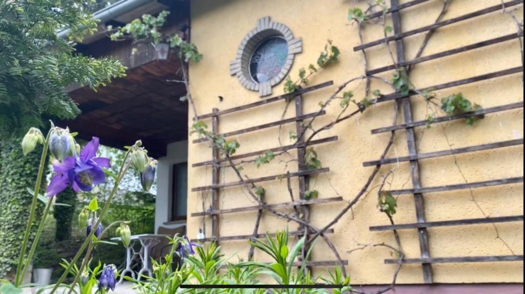 a building with a plant climbing up the side of it at Ferienhaus Silvaner in Naumburg