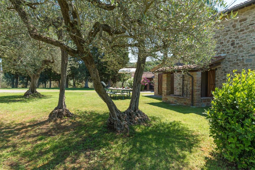A garden outside Casa Torrione 14, Emma Villas
