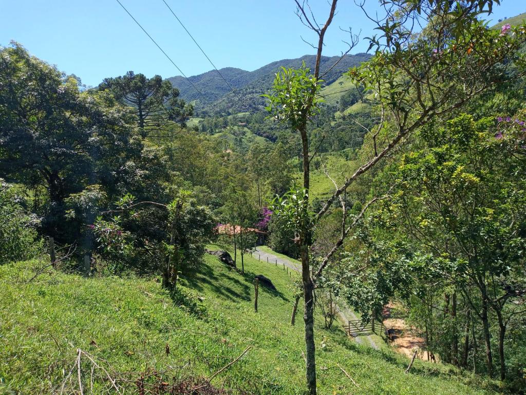  Chácara das Araucárias