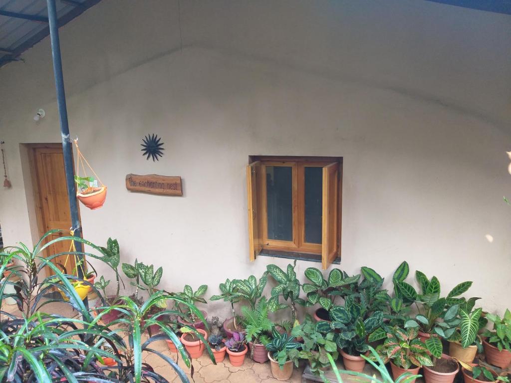 a bunch of potted plants in front of a building at THE ENCHANTING NEST in Borim