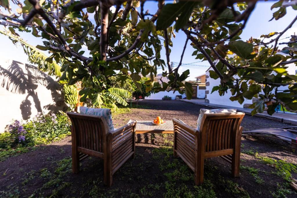 Un jardín fuera de Casa con encanto