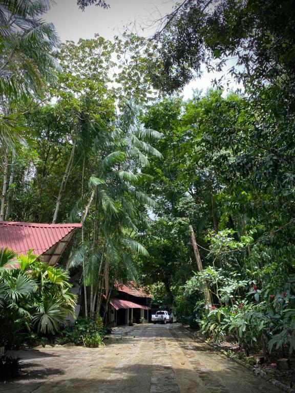  ReservAmazon Forest Hotel