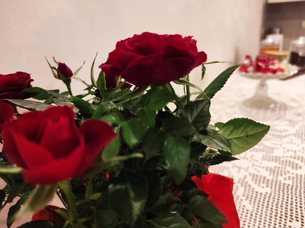 Nápoje v ubytování La Casina