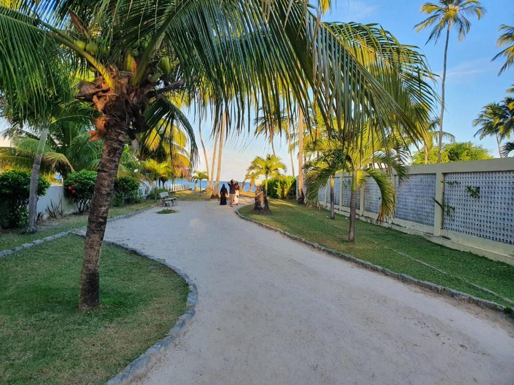 eine Palme am Straßenrand in der Unterkunft Linda Casa de Praia com piscina, área verde - MOBILIADA à 150 m do mar em Tamandaré-PE in Tamandaré
