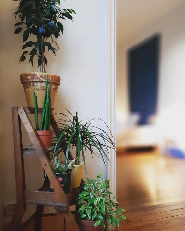 Fotografie z fotogalerie ubytování Maison Saint James v destinaci Montélimar