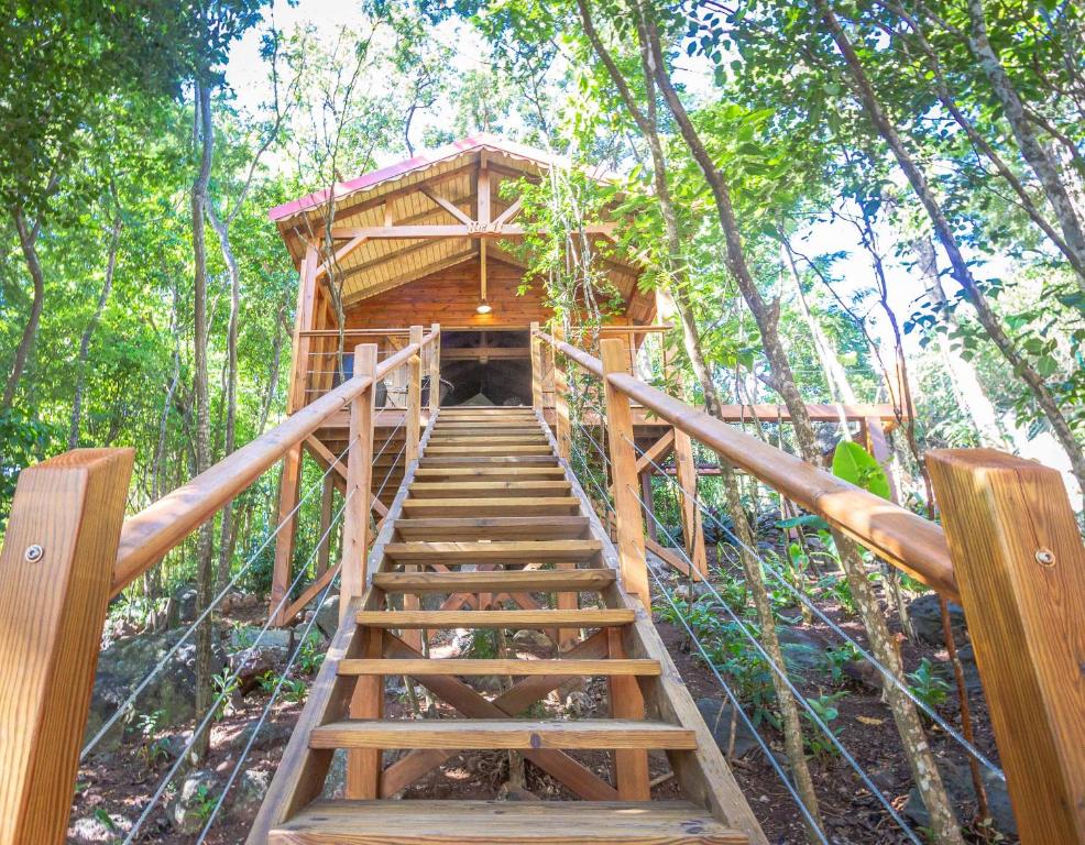 Fotografie z fotogalerie ubytování Au Jardin Des Colibris Ecolodge&Spa v destinaci Deshaies