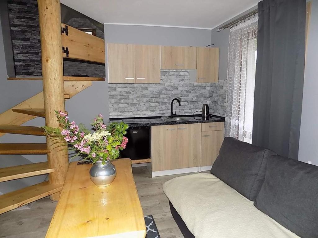 een woonkamer met een bank en een tafel en een keuken bij U Halinki in Czorsztyn