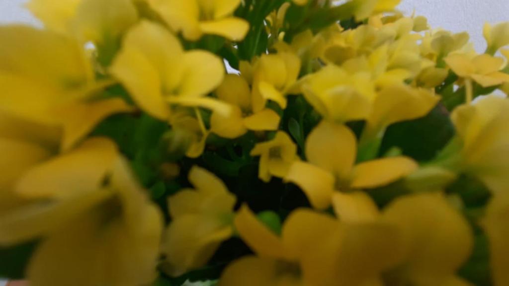  A CASA DA POLLY EM CARRANCAS MG