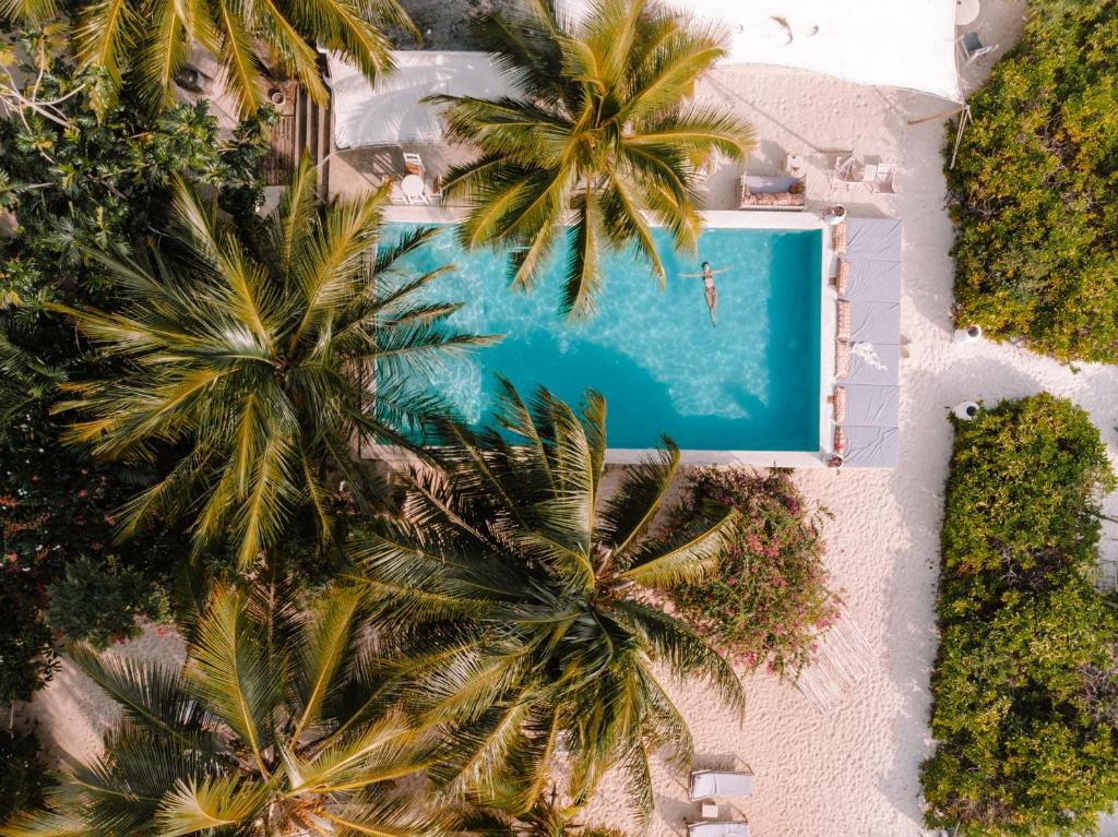 an overhead view of a swimming pool with palm trees at Sharazad Boutique Hotel in Jambiani