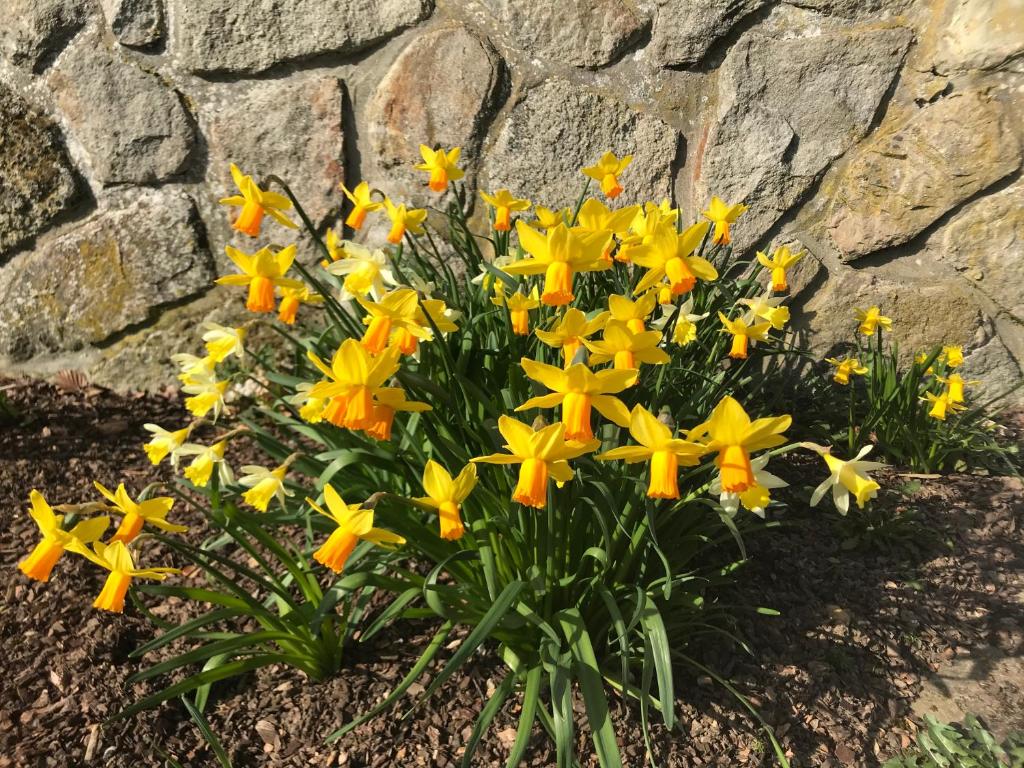 Zahrada ubytování "Un matin au jardin"