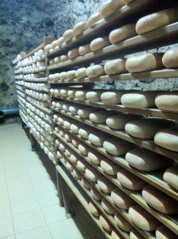 a bunch of eggs on shelves in a store at Casa rural calRei in Lles