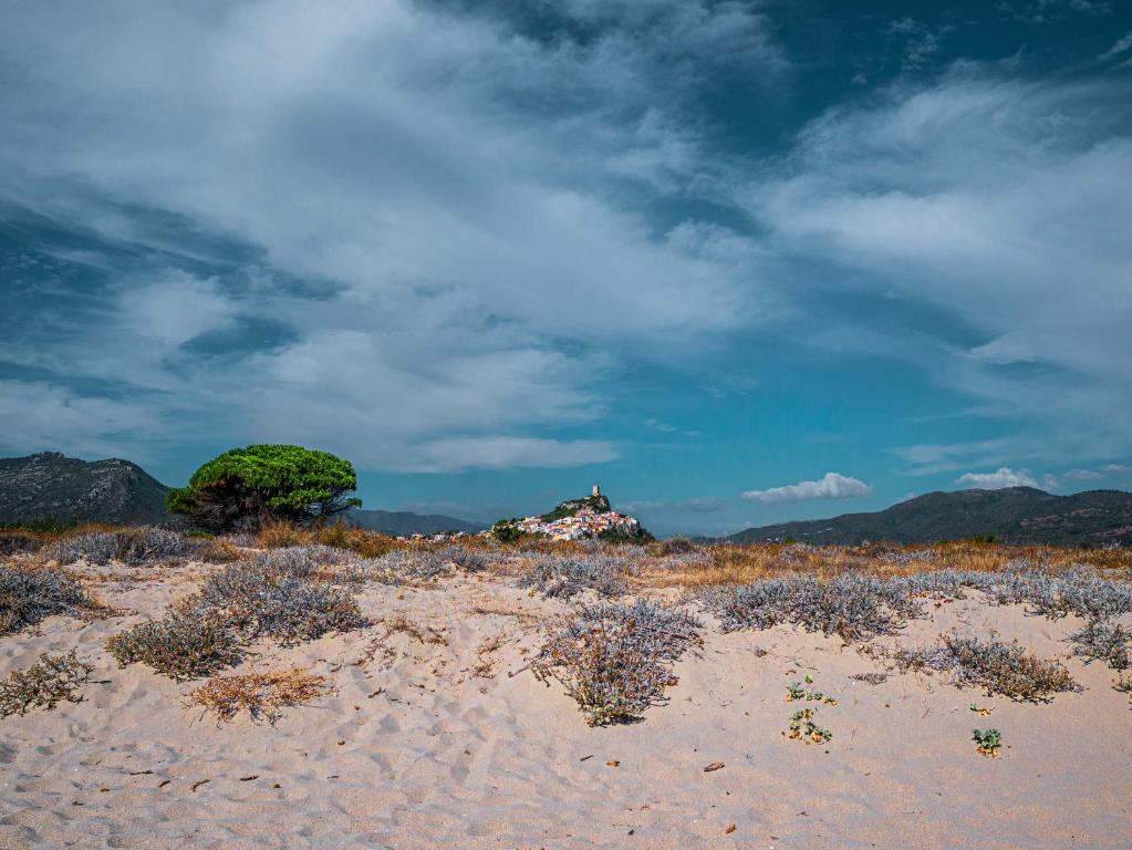 a beach with a tree in the middle of a field at Sas Tilibbas-Ammentos Posada in Posada