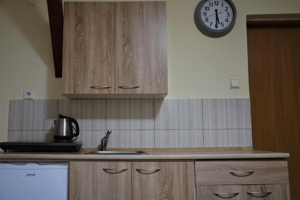 Kuchyň nebo kuchyňský kout v ubytování Penzion U Šelongů