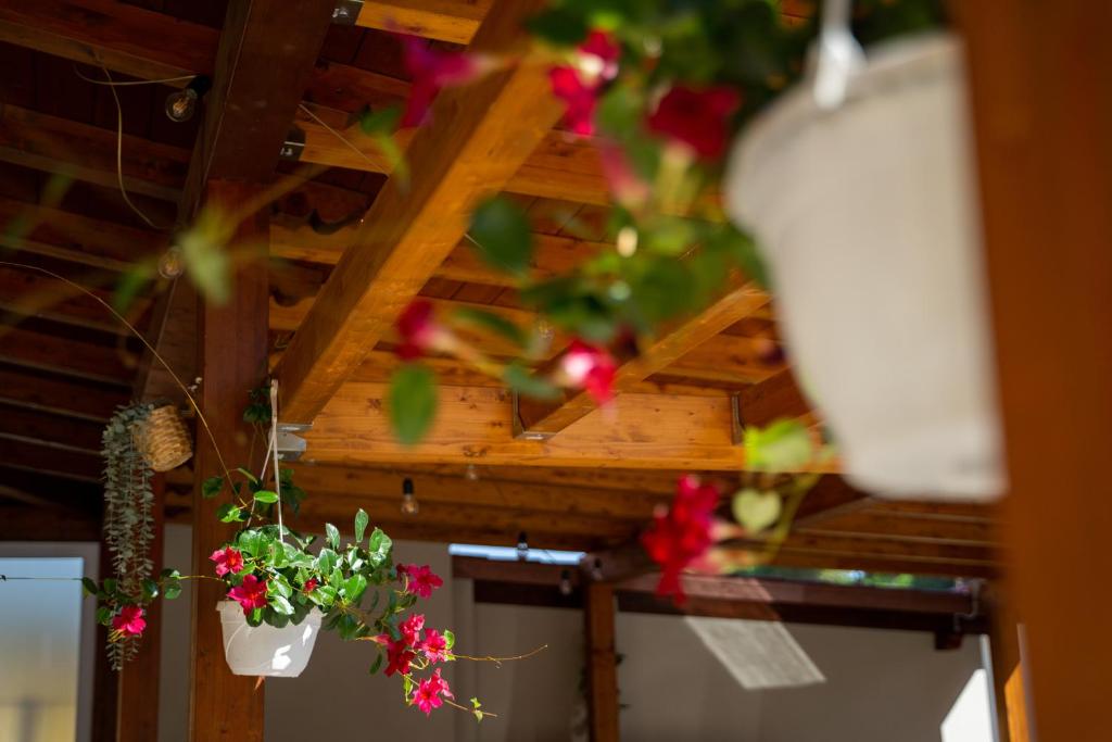 a bunch of flowers hanging from a wooden ceiling at Gu Hotel in Guidonia