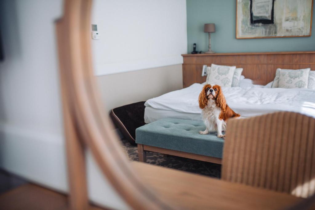 Posteľ alebo postele v izbe v ubytovaní Art Hotel