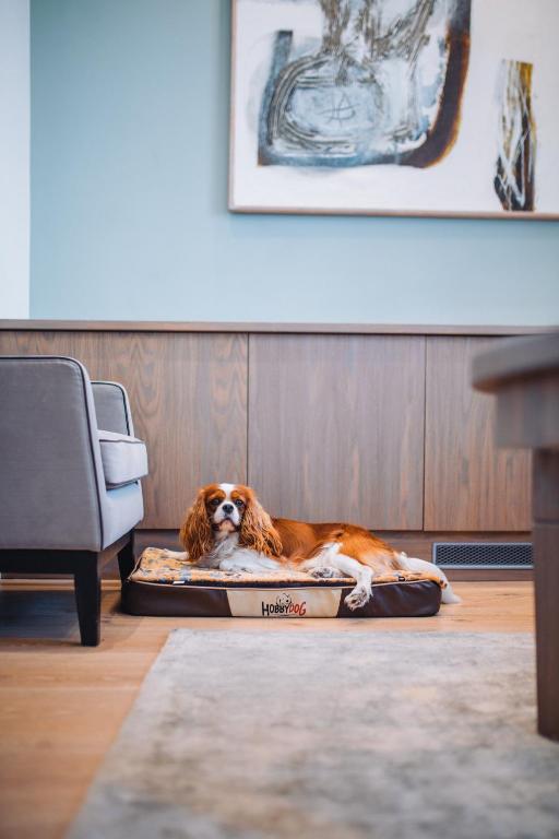 Art Hotel - Resim 15