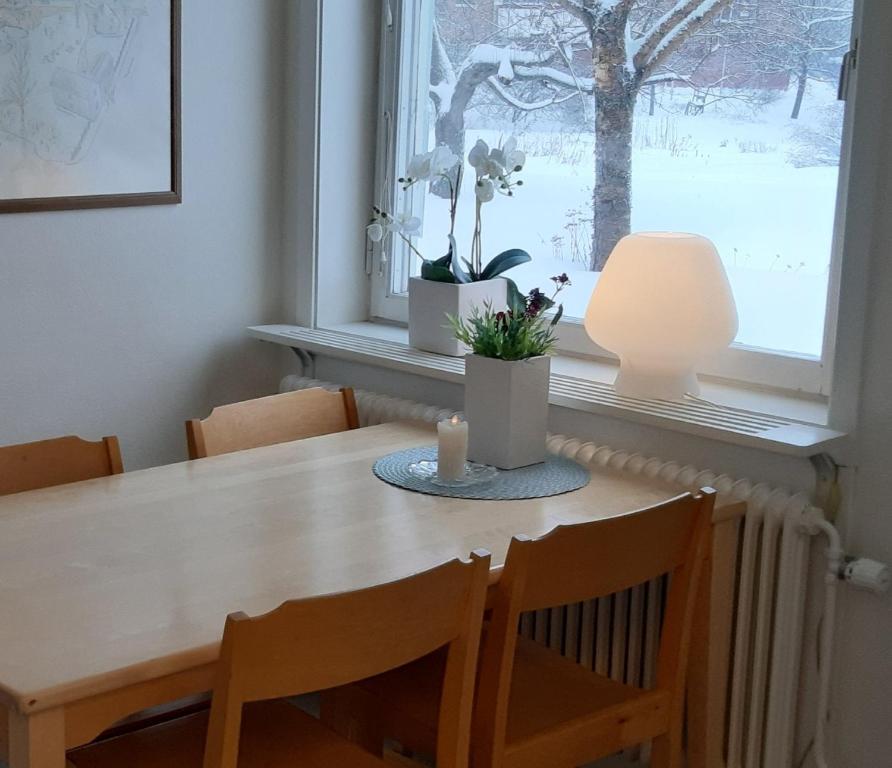 Fotografie z fotogalerie ubytování Piteå Vandrarhem v destinaci Piteå