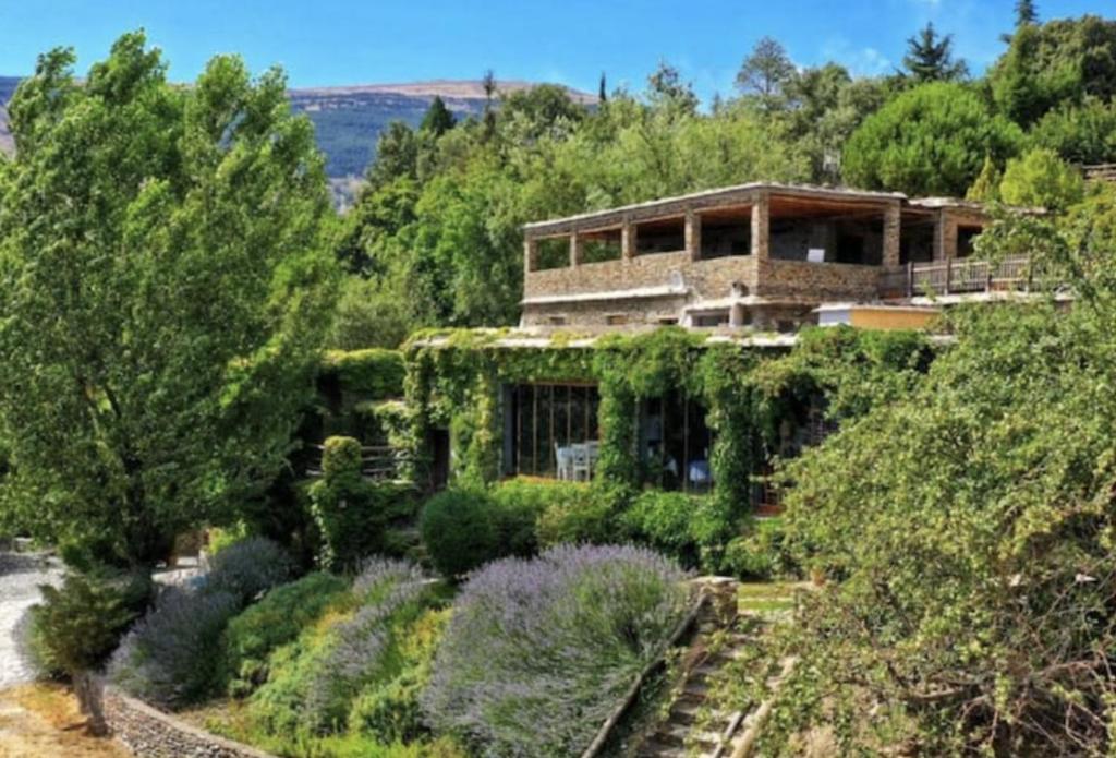 una casa cubierta de hiedra con árboles y arbustos en Cortijo Catifalarga Alpujarra, en Capileira